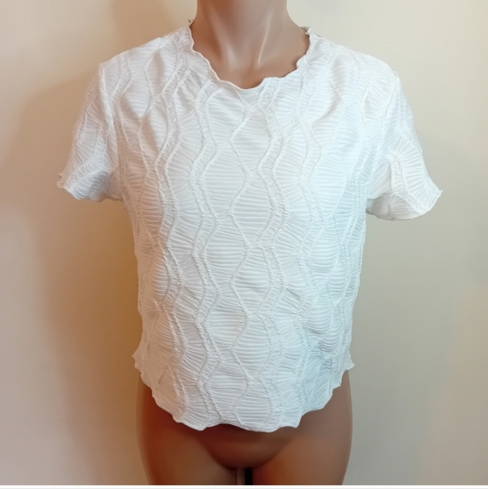 Atelier by Kirious Texture Top Ruffle Neck Crop Top Short Sleeve Dressy Party XL